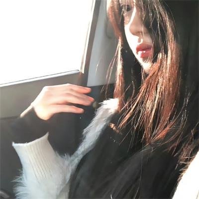 八公犬物语